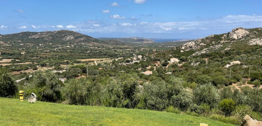 Fabulous Sardinia Villas For Sale Near Palau Cannigione Ref Lignamu