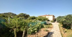 For Sale : Spacious, Detached Country House Near Olbia, North Sardinia