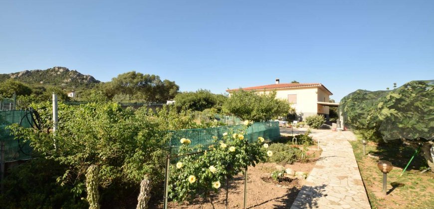 For Sale : Spacious, Detached Country House Near Olbia, North Sardinia