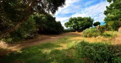 Traditional “Stazzo”, Farmstead With 1 Ha Land For Sale Near Luogosanto, North East Sardinia