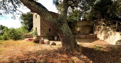 Traditional “Stazzo”, Farmstead With 1 Ha Land For Sale Near Luogosanto, North East Sardinia