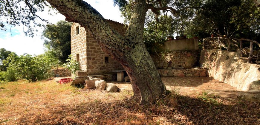 Traditional “Stazzo”, Farmstead With 1 Ha Land For Sale Near Luogosanto, North East Sardinia