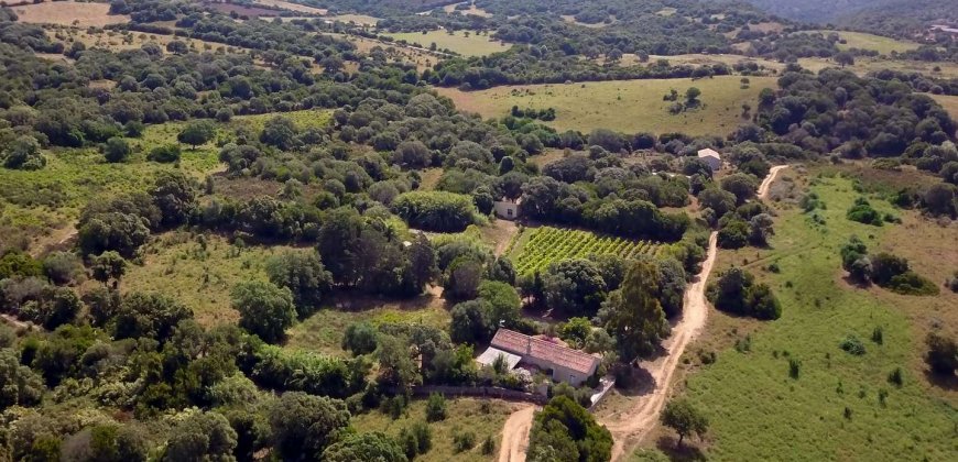 Traditional “Stazzo”, Farmstead With 1 Ha Land For Sale Near Luogosanto, North East Sardinia