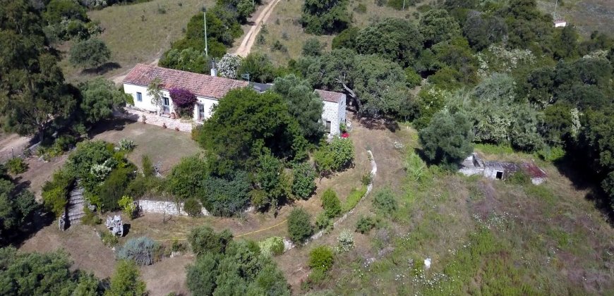 Traditional “Stazzo”, Farmstead With 1 Ha Land For Sale Near Luogosanto, North East Sardinia