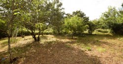 Traditional “Stazzo”, Farmstead With 1 Ha Land For Sale Near Luogosanto, North East Sardinia