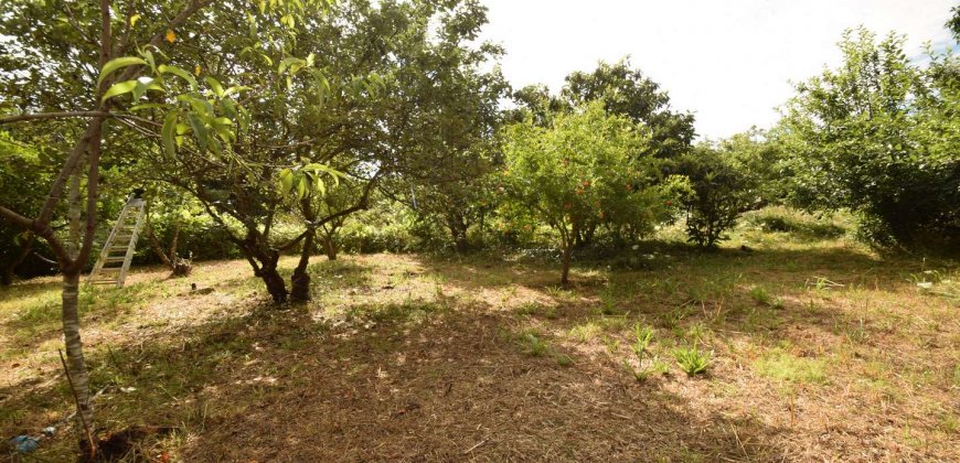 Traditional “Stazzo”, Farmstead With 1 Ha Land For Sale Near Luogosanto, North East Sardinia