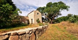 Traditional “Stazzo”, Farmstead With 1 Ha Land For Sale Near Luogosanto, North East Sardinia