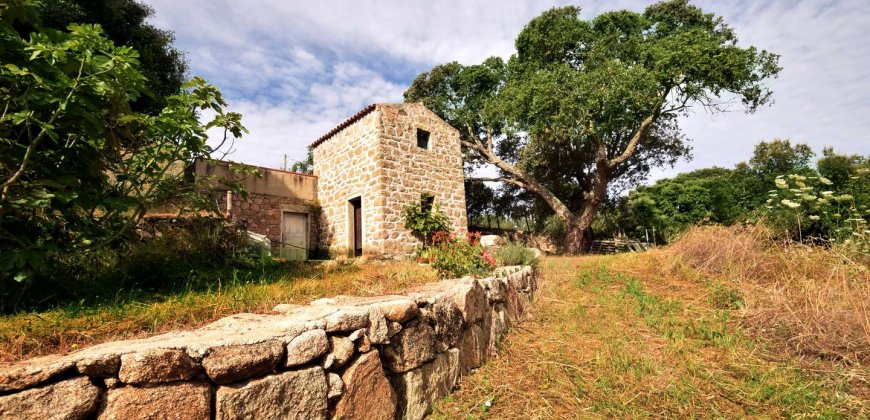 Traditional “Stazzo”, Farmstead With 1 Ha Land For Sale Near Luogosanto, North East Sardinia