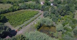 Traditional “Stazzo”, Farmstead With 1 Ha Land For Sale Near Luogosanto, North East Sardinia