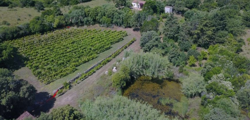 Traditional “Stazzo”, Farmstead With 1 Ha Land For Sale Near Luogosanto, North East Sardinia