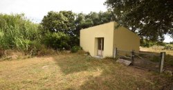 Traditional “Stazzo”, Farmstead With 1 Ha Land For Sale Near Luogosanto, North East Sardinia