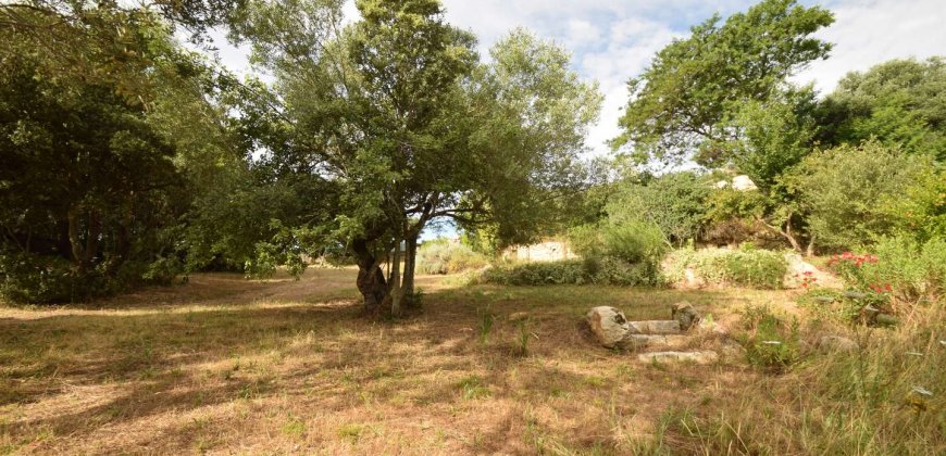 Traditional “Stazzo”, Farmstead With 1 Ha Land For Sale Near Luogosanto, North East Sardinia