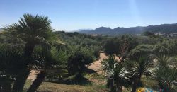 Delightful Rural Villas With 1 Ha Park For Sale Near Olbia, North Sardinia