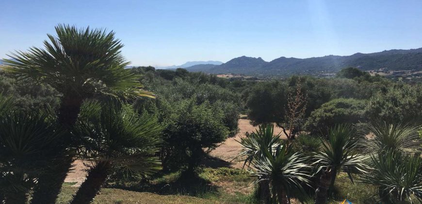 Delightful Rural Villas With 1 Ha Park For Sale Near Olbia, North Sardinia