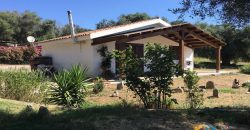 Delightful Rural Villas With 1 Ha Park For Sale Near Olbia, North Sardinia