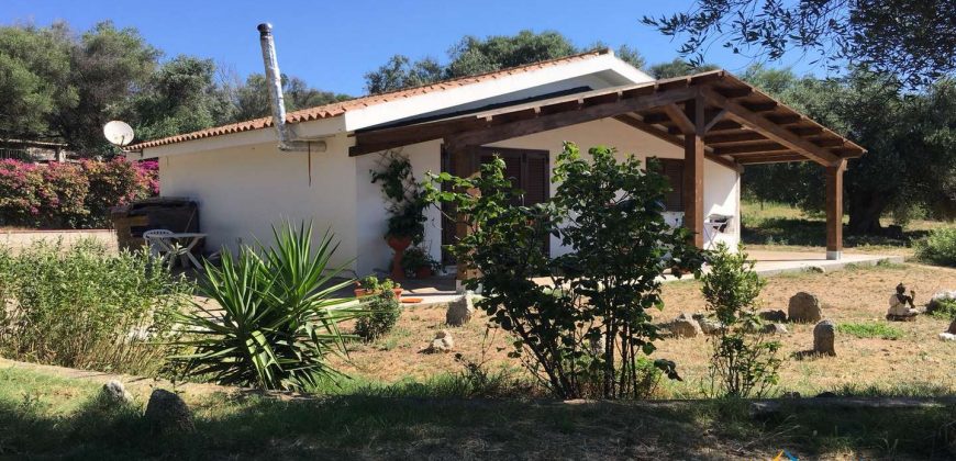 Delightful Rural Villas With 1 Ha Park For Sale Near Olbia, North Sardinia