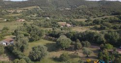 Delightful Rural Villas With 1 Ha Park For Sale Near Olbia, North Sardinia