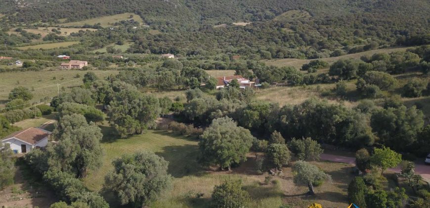 Delightful Rural Villas With 1 Ha Park For Sale Near Olbia, North Sardinia