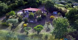 Delightful Rural Villas With 1 Ha Park For Sale Near Olbia, North Sardinia