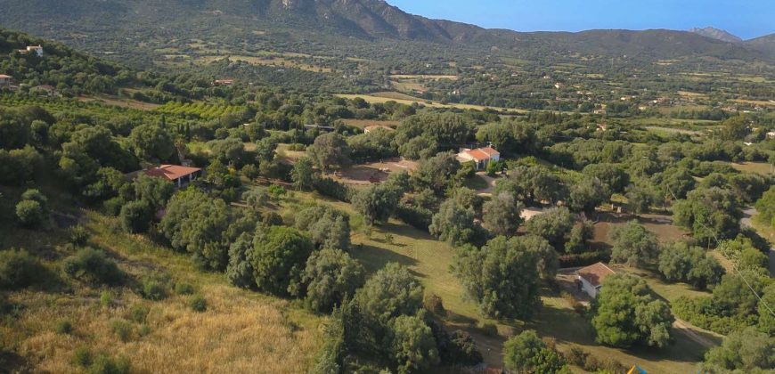 Delightful Rural Villas With 1 Ha Park For Sale Near Olbia, North Sardinia