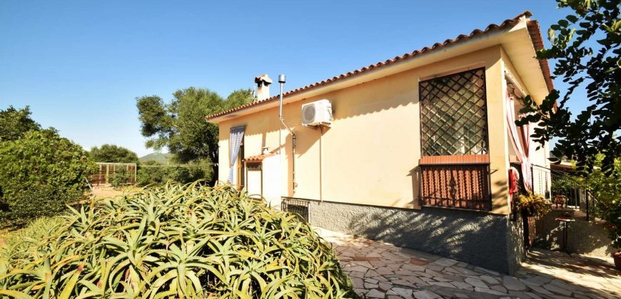 For Sale : Spacious, Detached Country House Near Olbia, North Sardinia