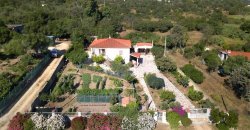 For Sale : Spacious, Detached Country House Near Olbia, North Sardinia