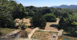 Delightful Rural Villas With 1 Ha Park For Sale Near Olbia, North Sardinia