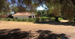 Delightful Rural Villas With 1 Ha Park For Sale Near Olbia, North Sardinia