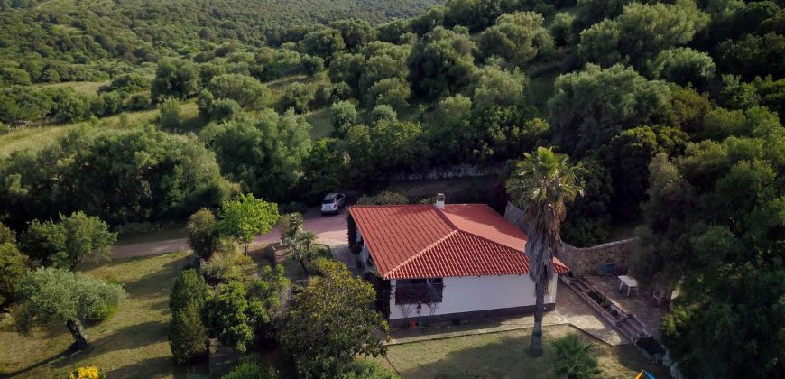 Delightful Rural Villas With 1 Ha Park For Sale Near Olbia, North Sardinia