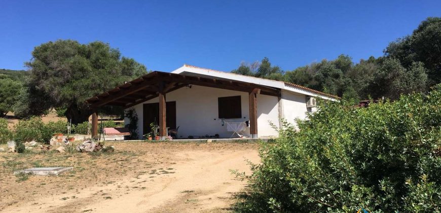 Delightful Rural Villas With 1 Ha Park For Sale Near Olbia, North Sardinia