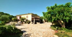 For Sale : Spacious, Detached Country House Near Olbia, North Sardinia