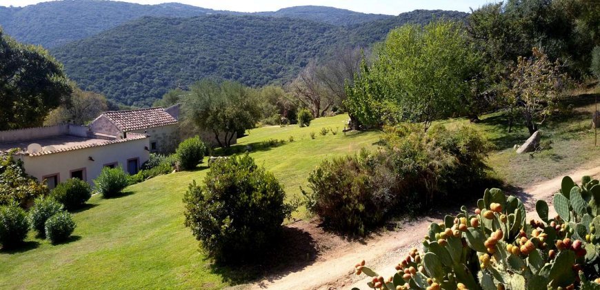 Farmhouse For Sale in Sardinia