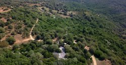 Farmhouse For Sale in Sardinia