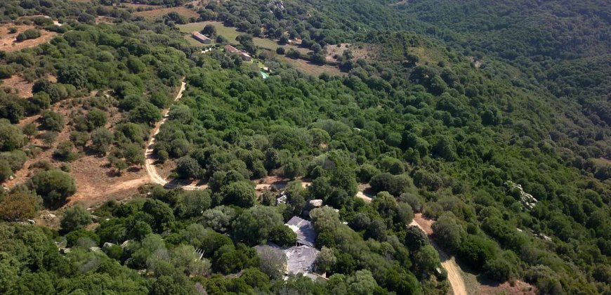 Farmhouse For Sale in Sardinia