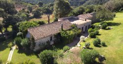 Farmhouse For Sale in Sardinia