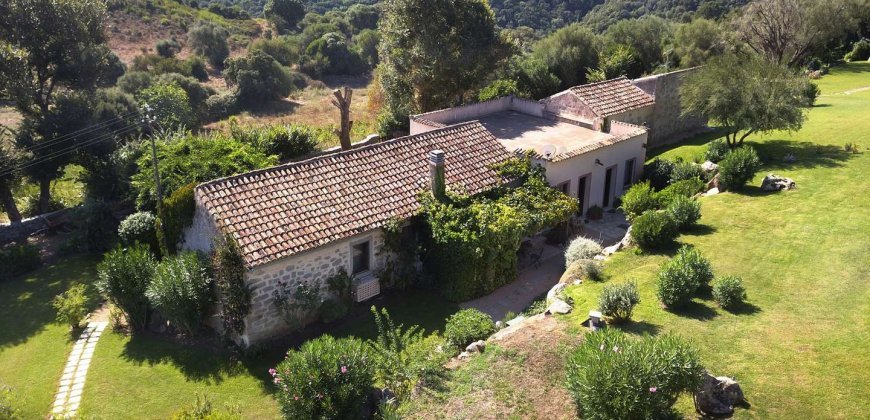 Farmhouse For Sale in Sardinia