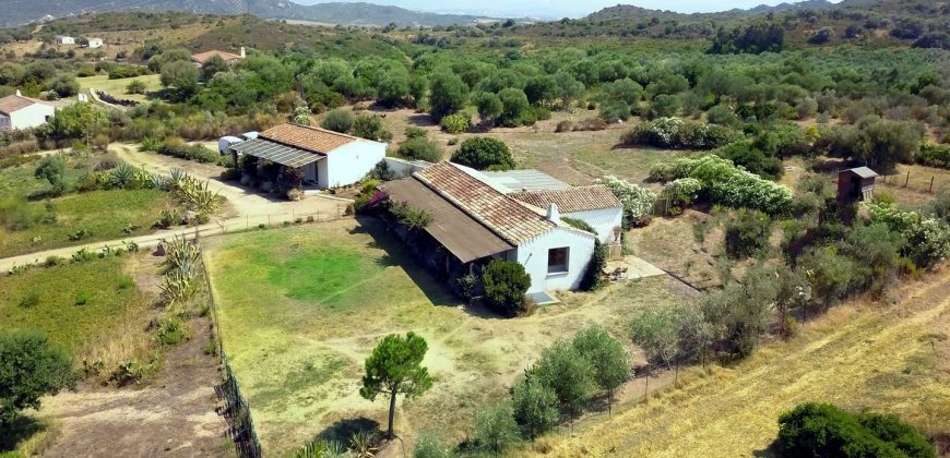 Stazzu For Sale San Pantaleo Sardinia