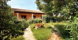 Rural Villa For Sale In Sardinia