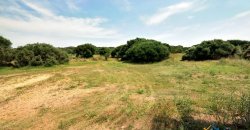 Rural Villa For Sale In Sardinia