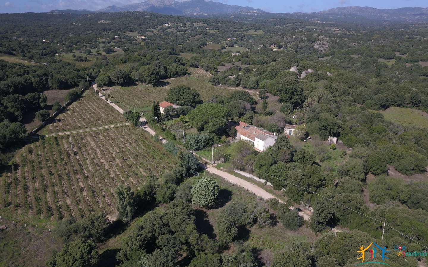 Vineyard And Farmstead For Sale In Sardinia