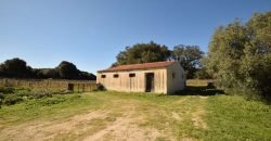 Vineyard And Farmstead For Sale In Sardinia