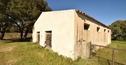 Vineyard And Farmstead For Sale In Sardinia