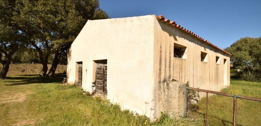 Vineyard And Farmstead For Sale In Sardinia