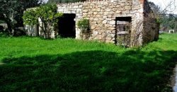 Vineyard And Farmstead For Sale In Sardinia