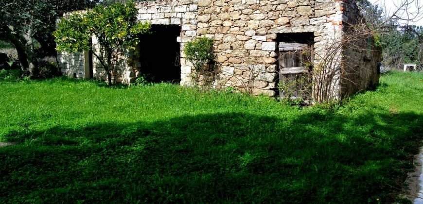 Vineyard And Farmstead For Sale In Sardinia