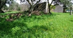 Vineyard And Farmstead For Sale In Sardinia