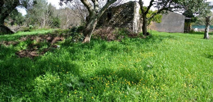 Vineyard And Farmstead For Sale In Sardinia