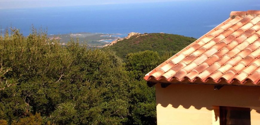 Stazzu For Sale In Sardinia with beautiful sea view in Aglientu