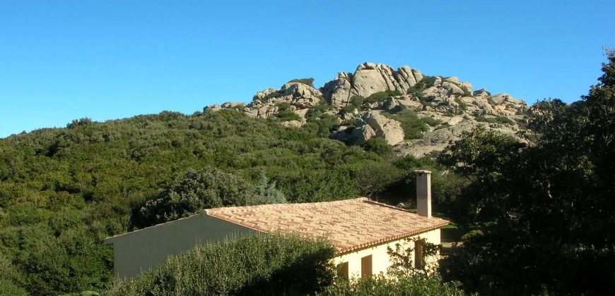 Stazzu For Sale In Sardinia with beautiful sea view in Aglientu