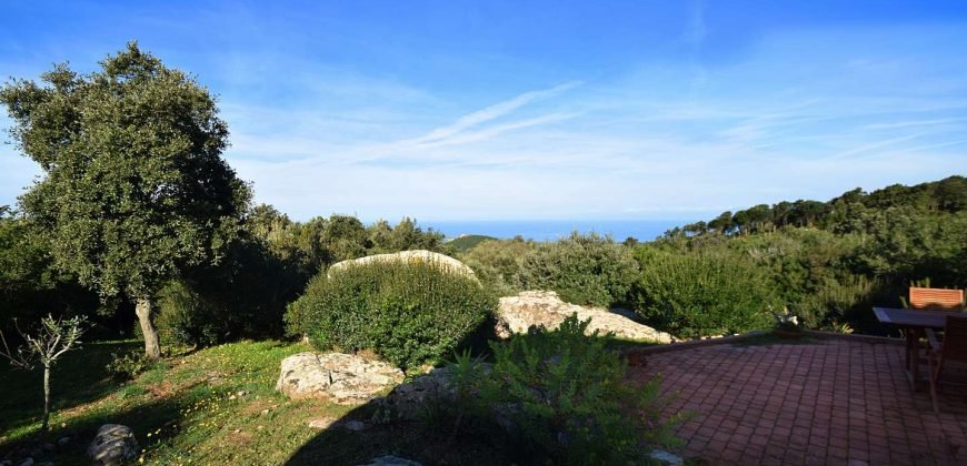 Stazzu For Sale In Sardinia with beautiful sea view in Aglientu